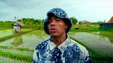 Videominiatuur SET ME FREE