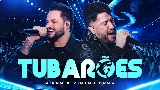 Videominiatuur Tubarões - Ao Vivo