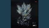Videominiatuur Micranthes stellaris