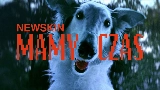 Videominiatuur MAMY CZAS