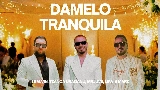 Videominiatuur Damelo
