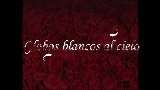 Videominiatuur Globos Blancos al Cielo