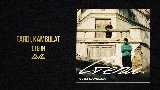 Videominiatuur Степи