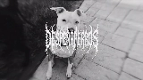 Videominiatuur MARTINETE