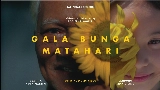 Videominiatuur Gala bunga matahari