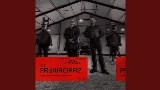 Videominiatuur Prywaciarz