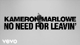 Videominiatuur No Need For Leavin'