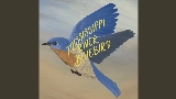 Videominiatuur Mississippi River Bluebird