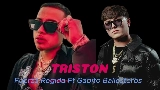 Videominiatuur triston