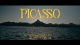 Videominiatuur PICASSO