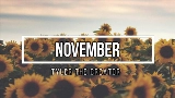 Videominiatuur November