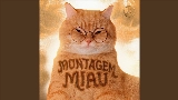 Videominiatuur Montagem Miau