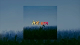 Videominiatuur Hit Em