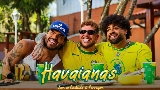 Videominiatuur Havaianas