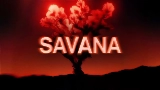Videominiatuur Savana
