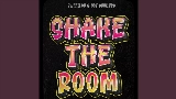 Videominiatuur Shake The Room