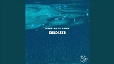 Videominiatuur Hard Dive