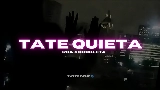 Videominiatuur TATE QUIETA