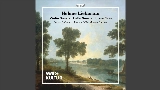 Videominiatuur Allegro
