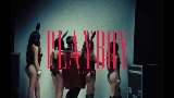 Videominiatuur PLAYBOY