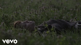 Videominiatuur Ricordi (con Elisa)