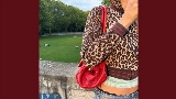 Videominiatuur Leopard