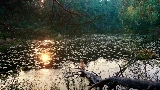 Videominiatuur Mother's Love Conquers All