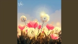 Videominiatuur Warm Feelings
