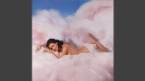 Videominiatuur Teenage Dream