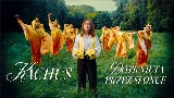 Videominiatuur Dotknięta przez słońce