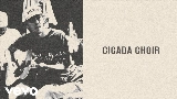 Videominiatuur Cicada Choir