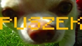 Videominiatuur TO PIPY