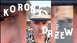 Videominiatuur Korony drzew