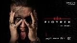 Videominiatuur Piotrek