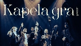 Videominiatuur Kapela gra