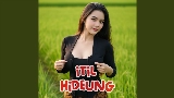 Videominiatuur Itil Hideung