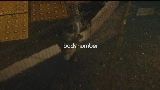 Videominiatuur 水平線