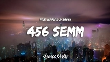 Videominiatuur 456 semm