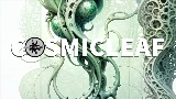 Videominiatuur World of fungi