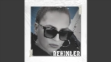 Videominiatuur Rehinler