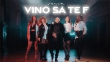 Videominiatuur Vino să te f