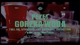 Videominiatuur Gorzka woda - Remix