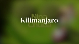 Videominiatuur Kilimanjaro
