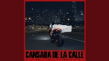 Videominiatuur Cansada De La Calle