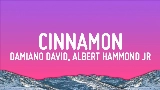 Videominiatuur Cinnamon (feat. Albert Hammond Jr)