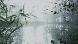 Videominiatuur reverie