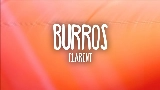 Videominiatuur BURROS