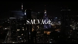Videominiatuur SAUVAGE