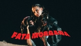 Videominiatuur Fata Morgana