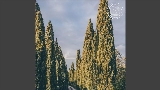 Videominiatuur Vinho Verde